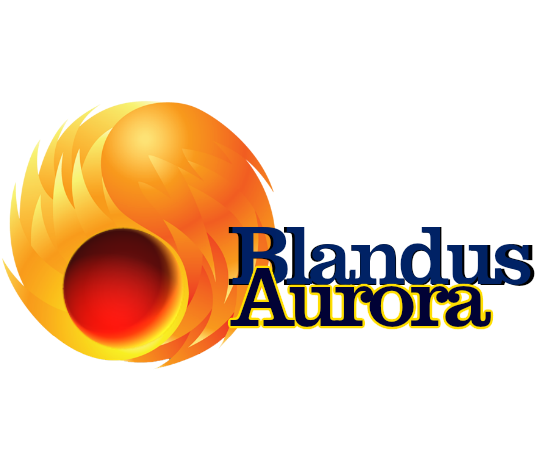 Blandus Aurora Integrated Nigeria Enterprises picture
